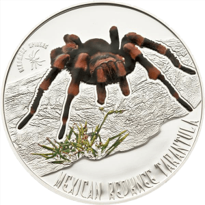 Серебряная монета "Красноколенный мексиканский тарантул"