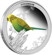 Серебряная монета "Волнистый попугайчик"Silver-1_2oz