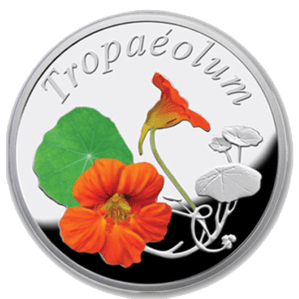Серебряная монета "Настурция" 10 рублей Беларусь